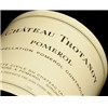 Castle Trotanoy - Pomerol 1988 