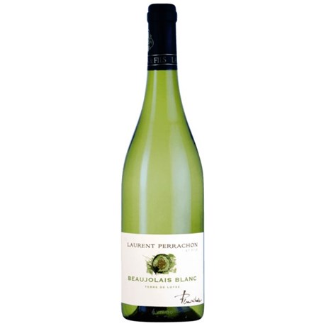 Terre de Loyse 2023 - Domaine Perrachon - Beaujolais Blanc